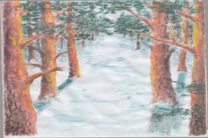 Бовтрук Аліна Володимирівна, 10 років, Мирчанський заклад загальної середньої освіти І – ІІ ступенів – заклад дошкільної освіти, назва малюнку «Вічно зелені сосни»